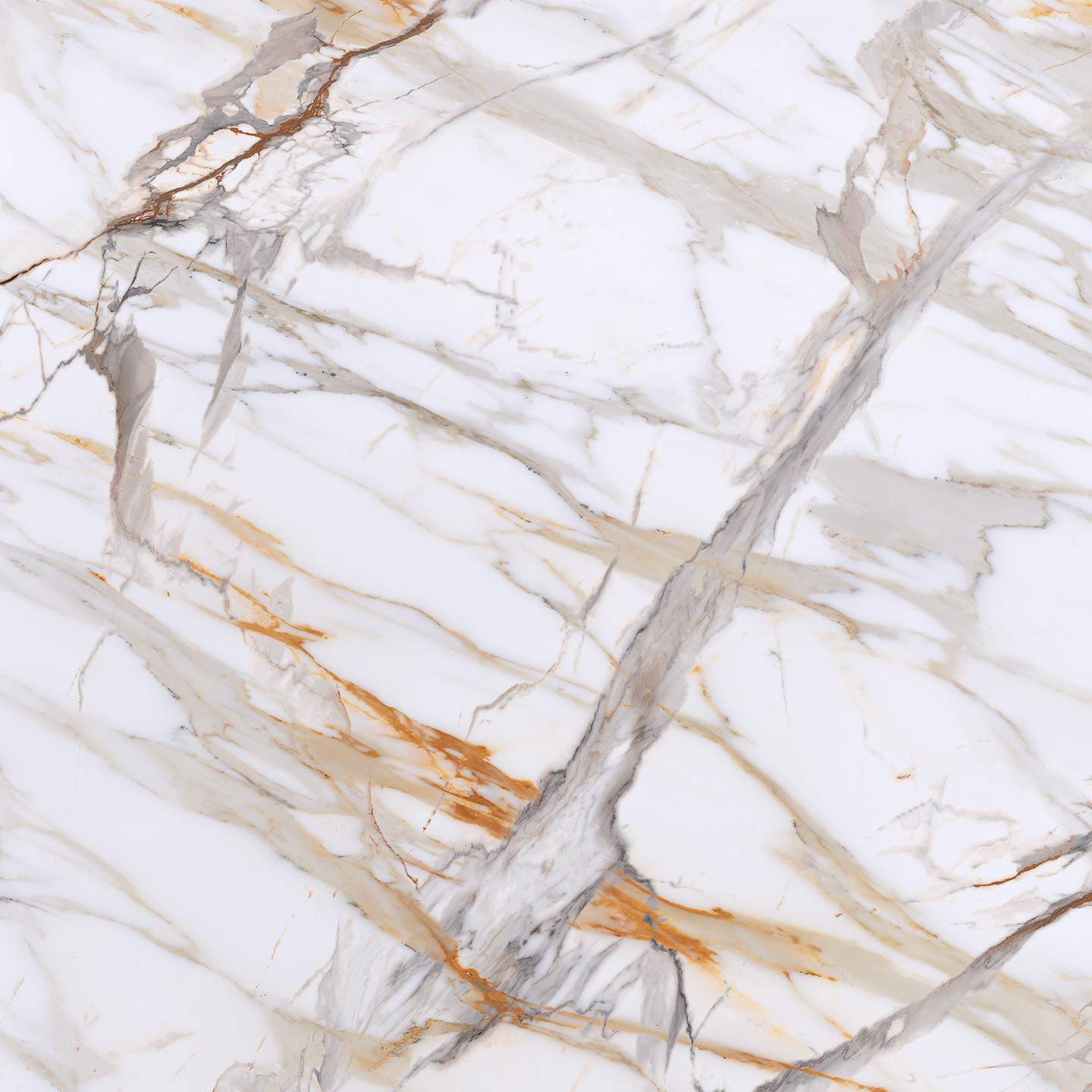 Calacatta Phoenix
