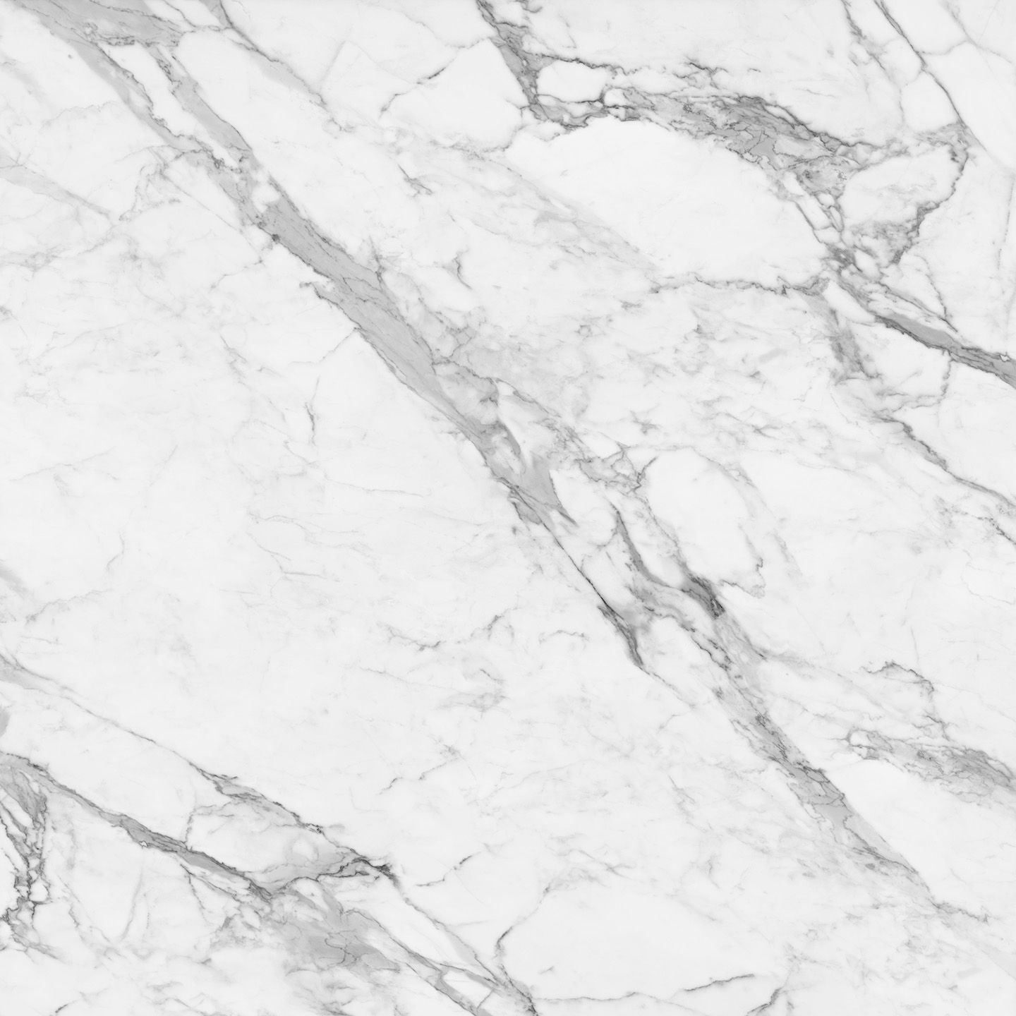 Borghini Grey