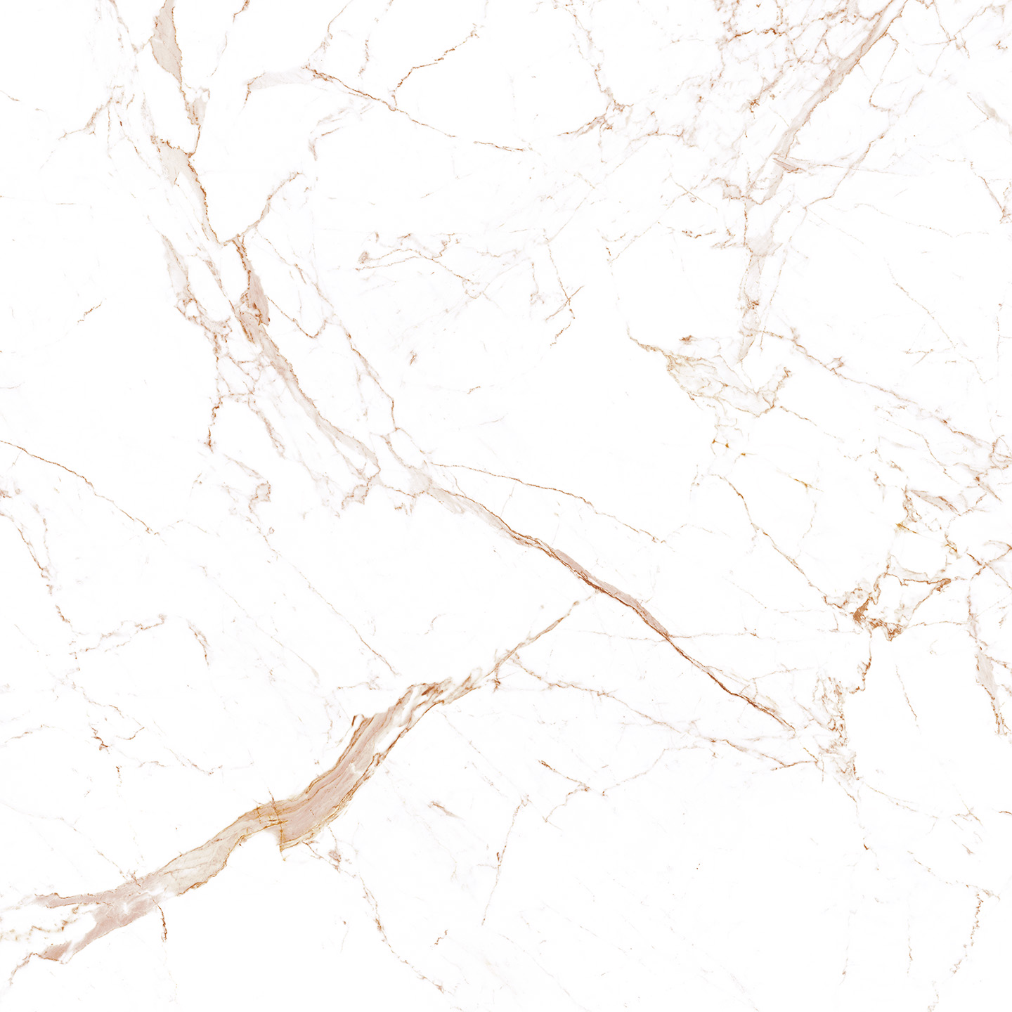 Calacatta Claire