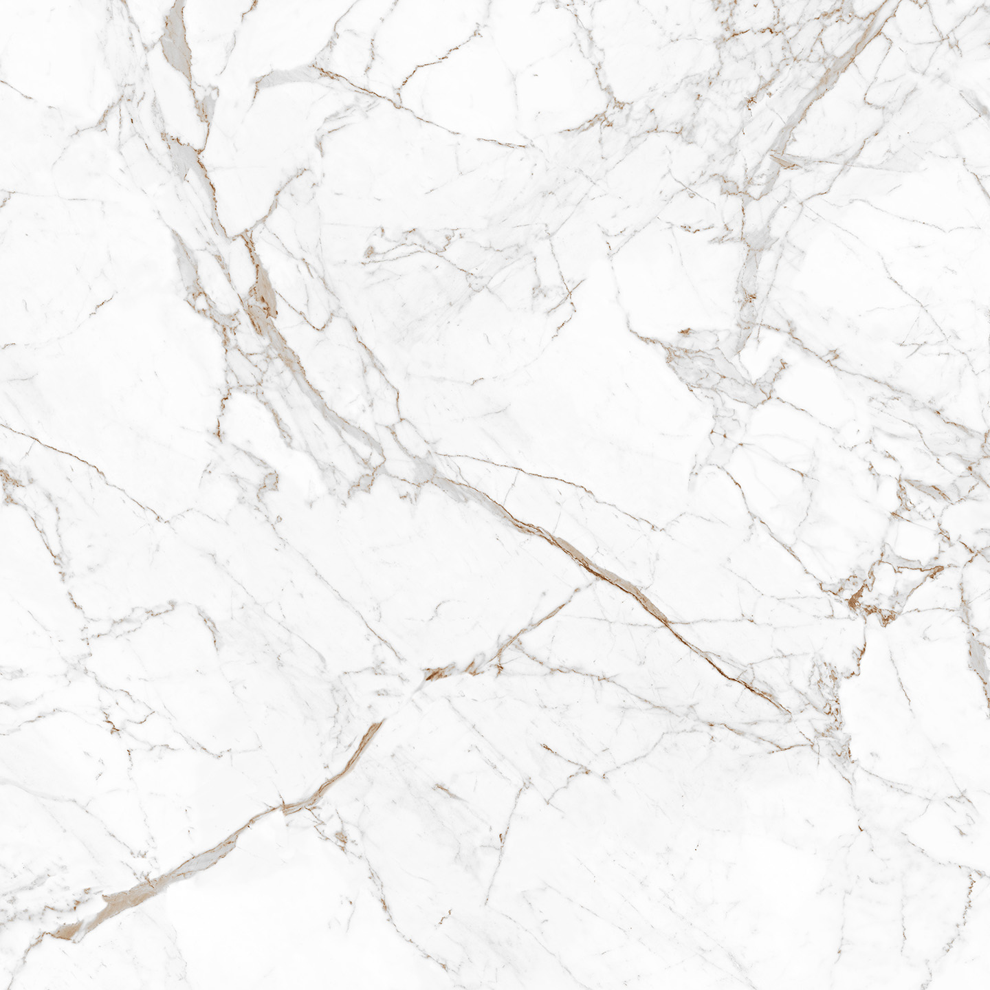 Calacatta Claire Grey