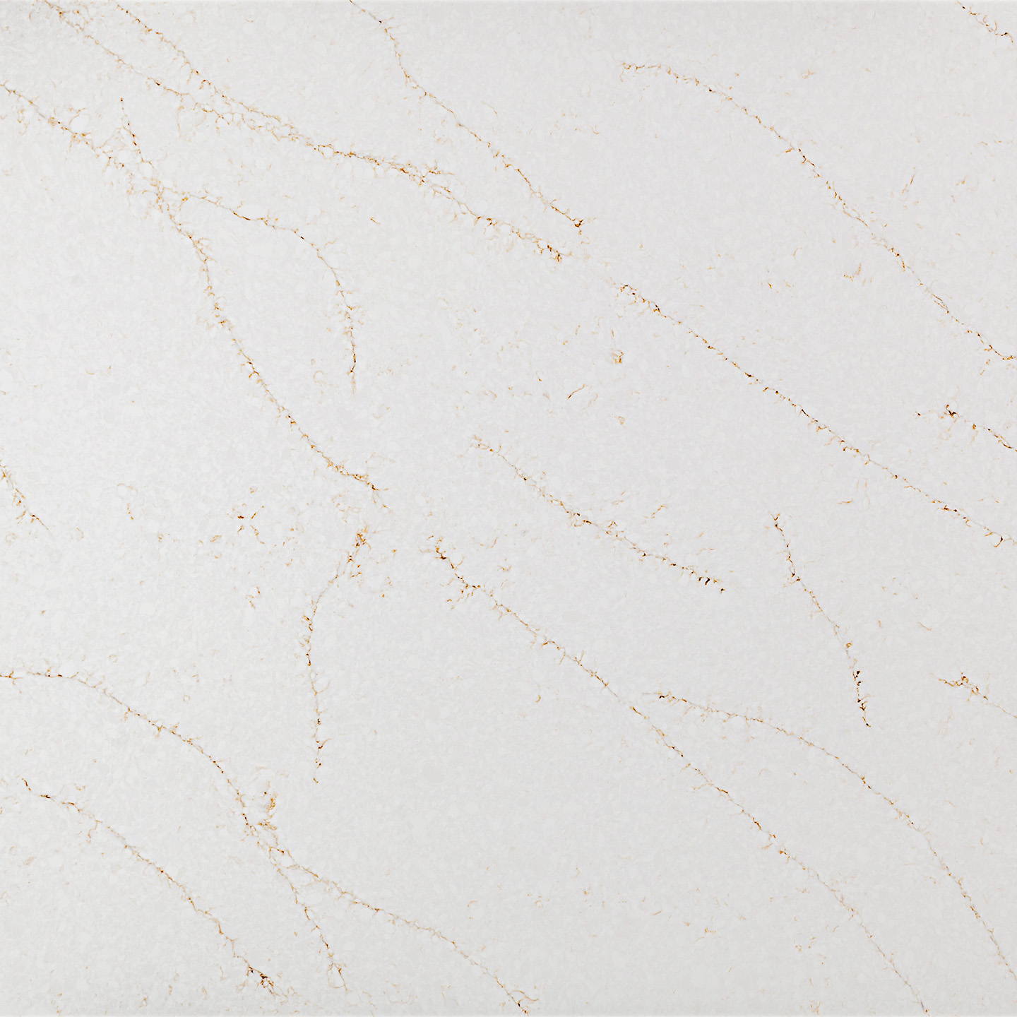 Calacatta Aurora Gold