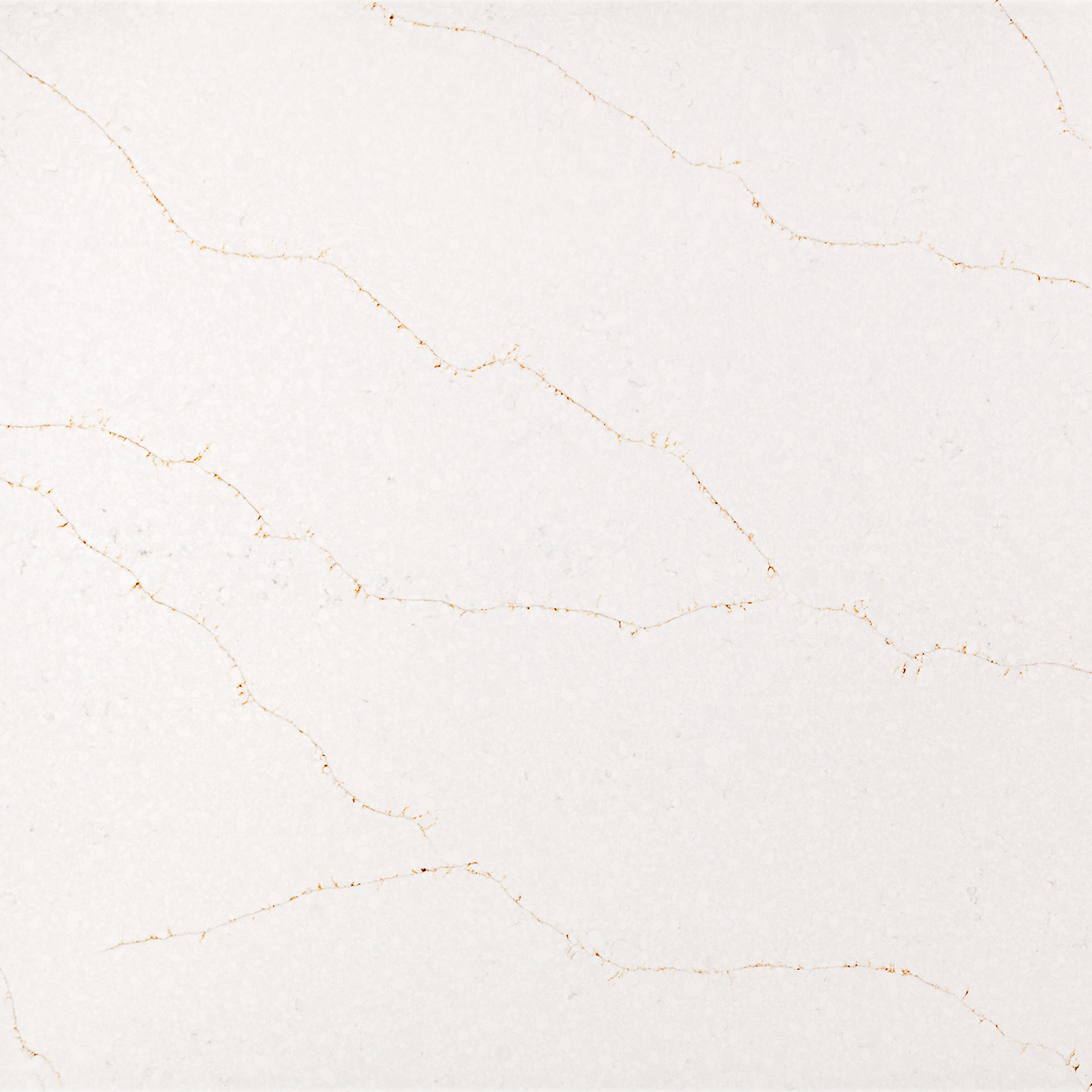 Calacatta Vivaldi Gold