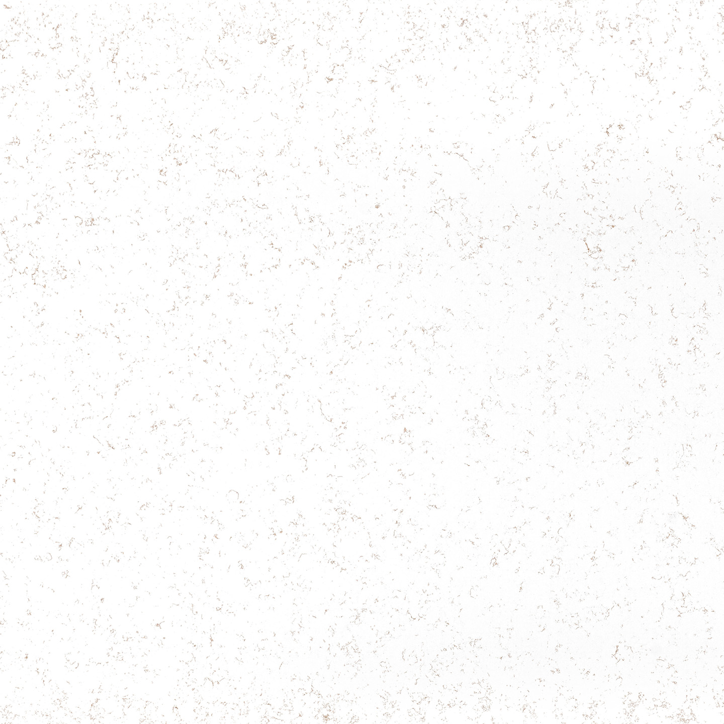 Carrara Oro Ultra